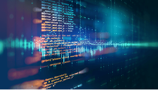 IT and software services — custom project and mobile application development